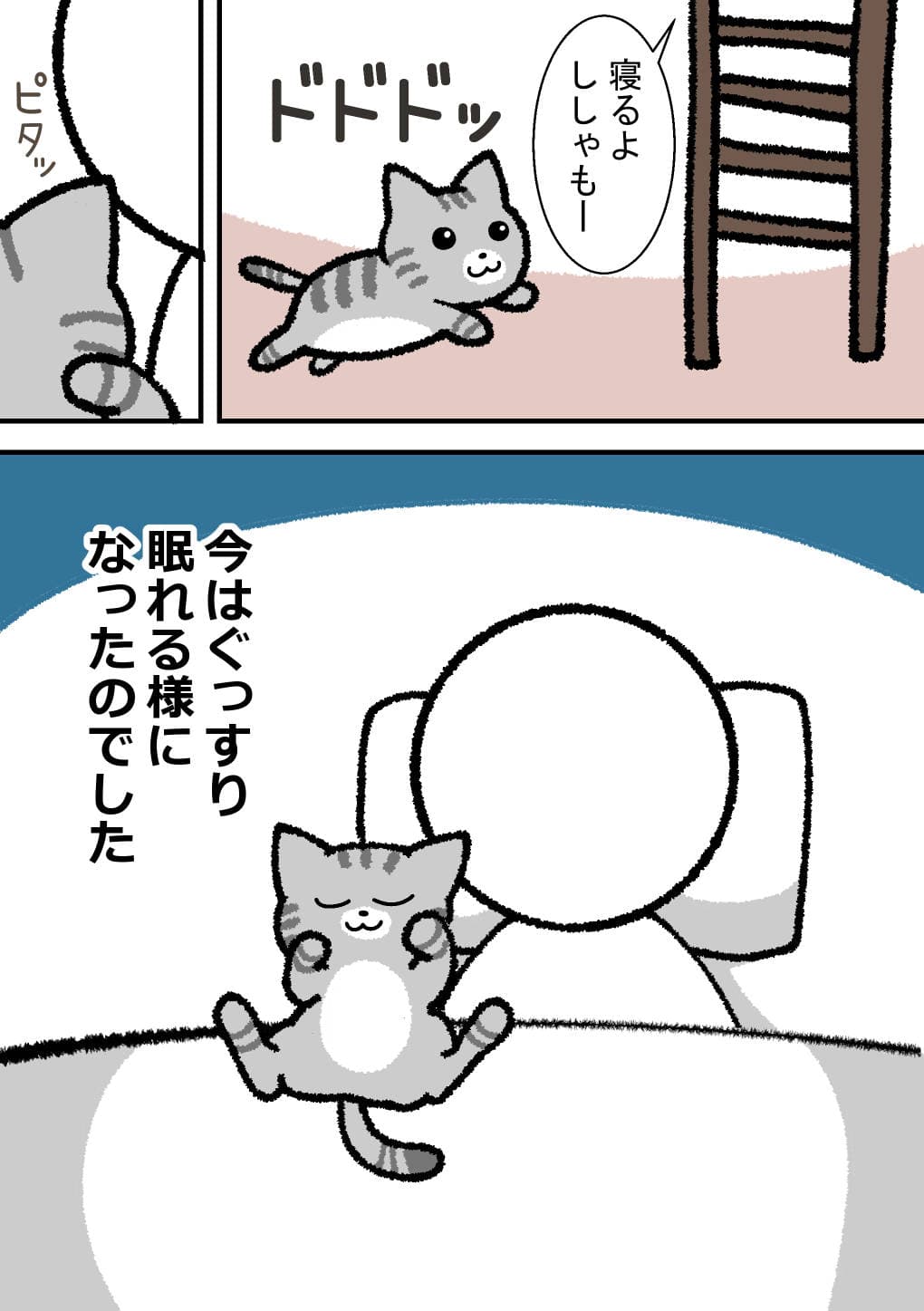 8/8