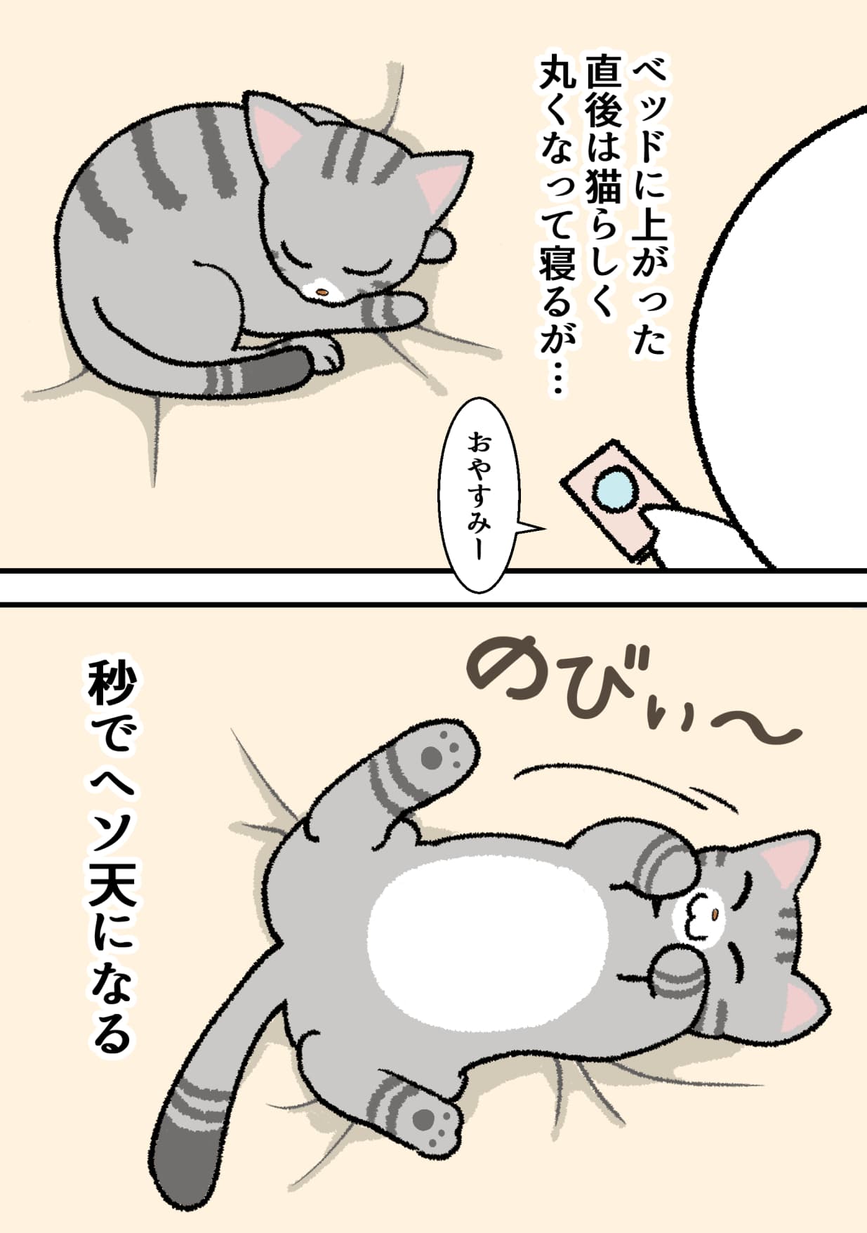 1/1