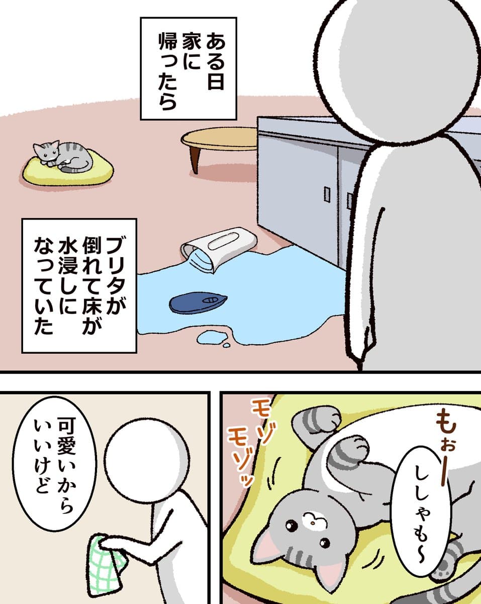 1/1