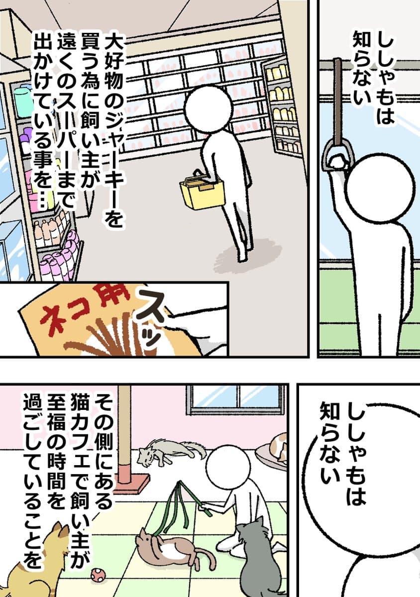 1/1