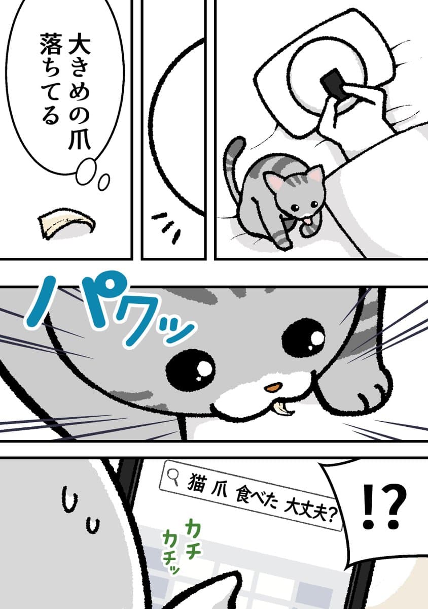 1/1