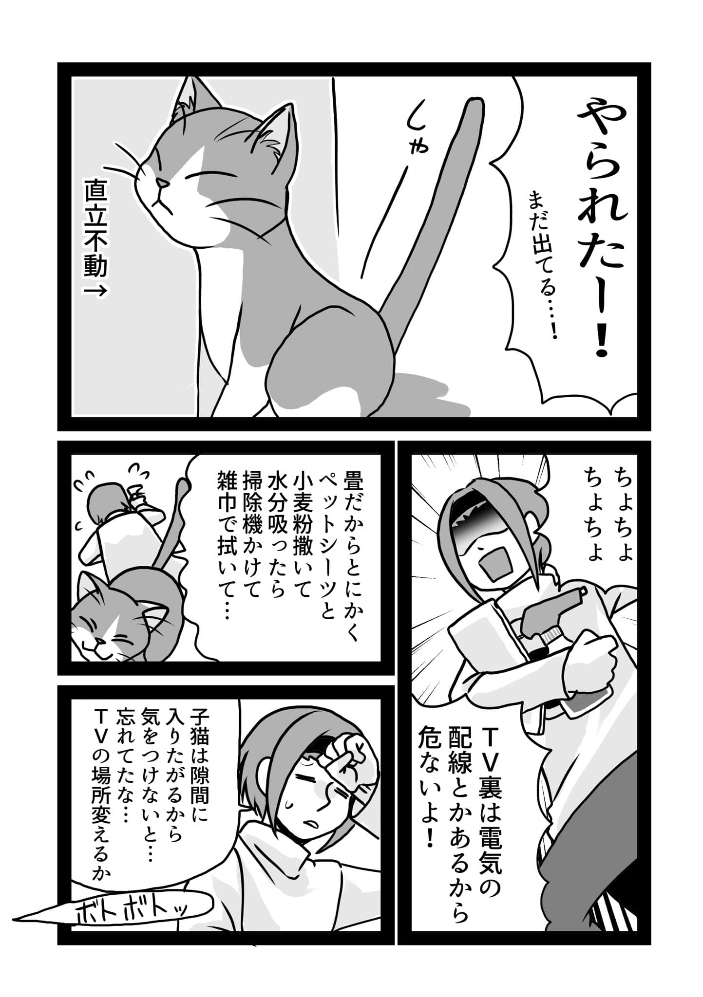 03/15