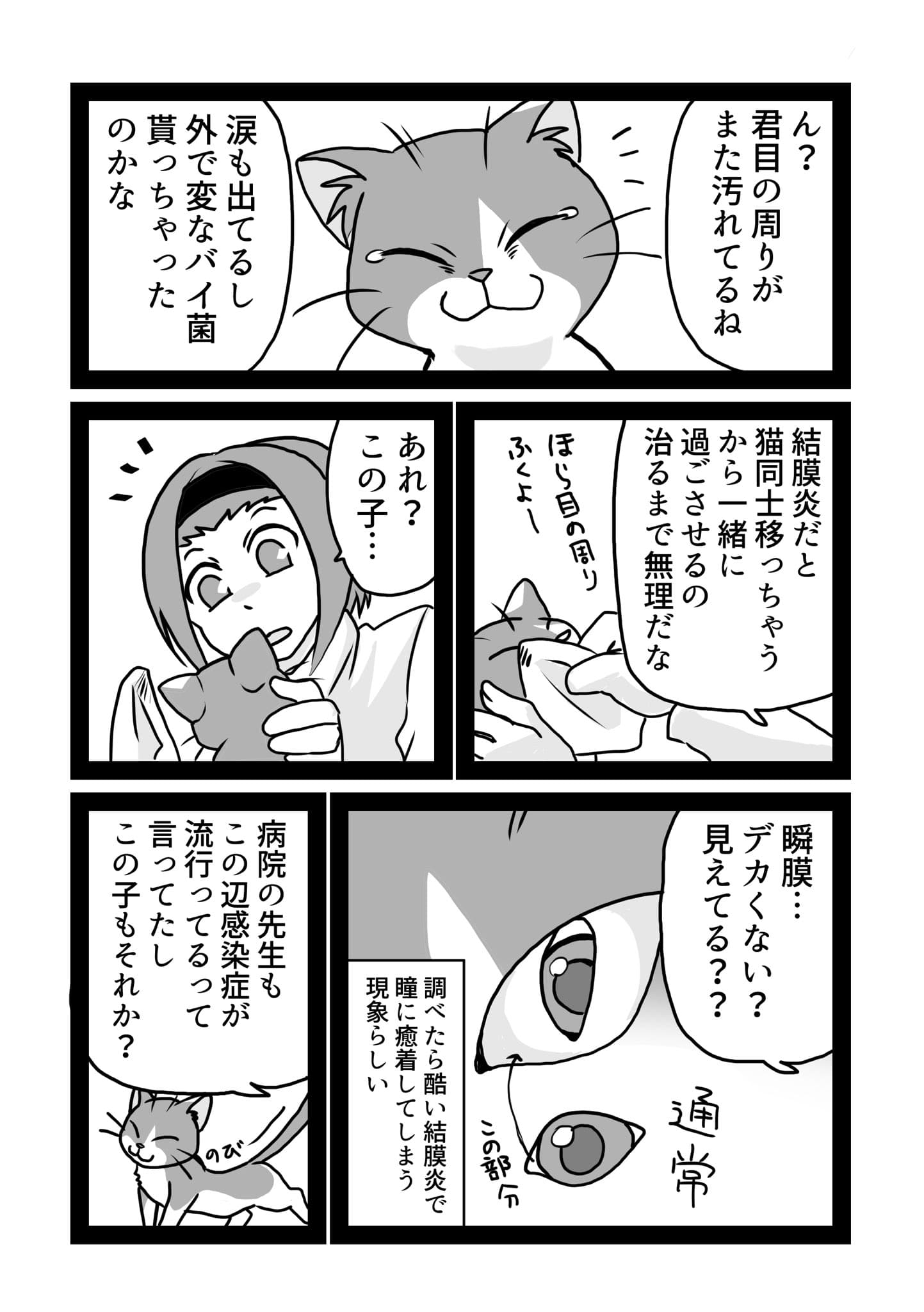 06/15